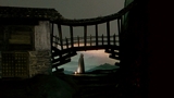 Black Narcissus
